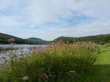 Holiday Apartment in Schieder (Teutoburger Wald) or holiday homes and vacation rentals