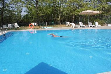 Holiday House in Piegaro (Firenze) or holiday homes and vacation rentals