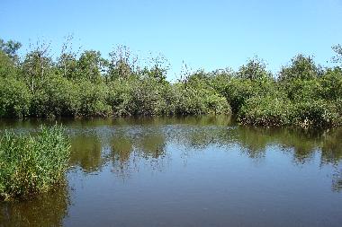 Holiday House in fr�rup (Fyn) or holiday homes and vacation rentals