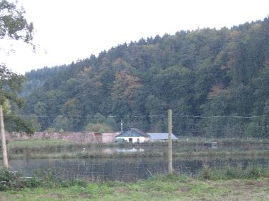 A fishing pond in Himmerod.