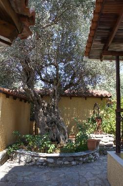 Holiday House in Fokida (Fokida) or holiday homes and vacation rentals