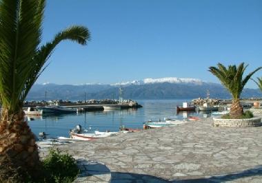 Holiday House in Fokida (Fokida) or holiday homes and vacation rentals