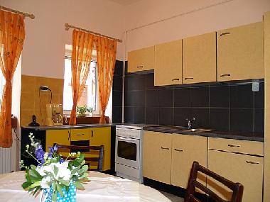 Holiday House in Brasov (Brasov) or holiday homes and vacation rentals