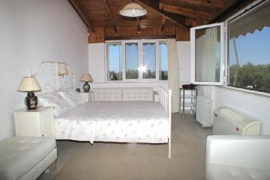 Villa in ANAVISSOS (Attiki) or holiday homes and vacation rentals