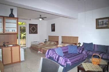 Villa in ANAVISSOS (Attiki) or holiday homes and vacation rentals