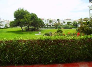 Laguna Beach - green area