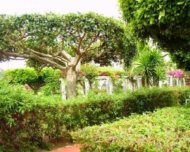 Laguna Beach - green area