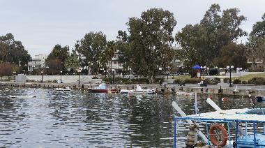 Villa in ANAVISSOS (Attiki) or holiday homes and vacation rentals