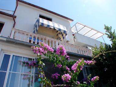 Villa in Petrčane (Zadarska) or holiday homes and vacation rentals