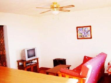 living-room of the apartment