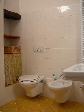 Holiday House in Montevarchi (Arezzo) or holiday homes and vacation rentals
