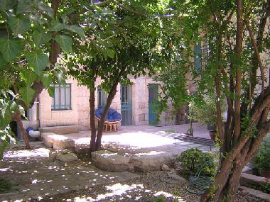 The Garden