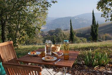 Holiday House in Arcevia (Ancona) or holiday homes and vacation rentals