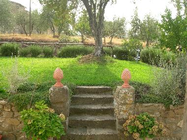 Holiday House in Montevarchi (Arezzo) or holiday homes and vacation rentals