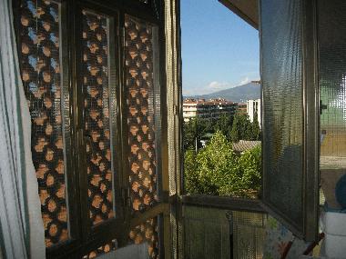 View from kitchen terrace