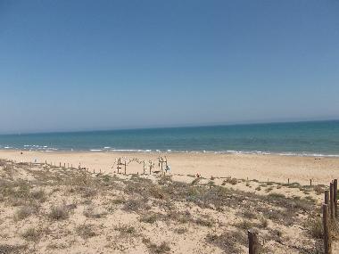 Holiday House in Algorfa (Alicante / Alacant) or holiday homes and vacation rentals