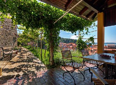 Terrace 1