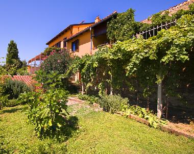 House from the garden