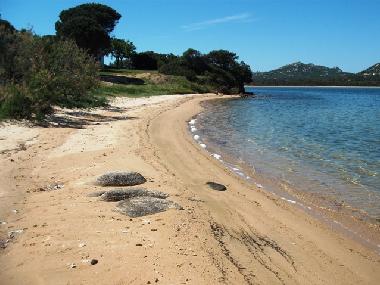 Holiday House in Baja Sardinia (Olbia-Tempio) or holiday homes and vacation rentals