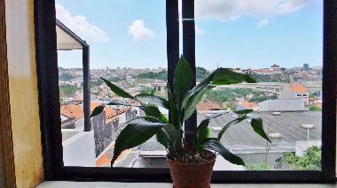 Holiday Apartment in Porto (Norte) or holiday homes and vacation rentals