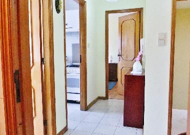 Holiday Apartment in Porto (Norte) or holiday homes and vacation rentals