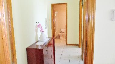 Holiday Apartment in Porto (Norte) or holiday homes and vacation rentals