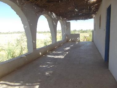 Villa in Siwa (Al Wadi al Jadid) or holiday homes and vacation rentals