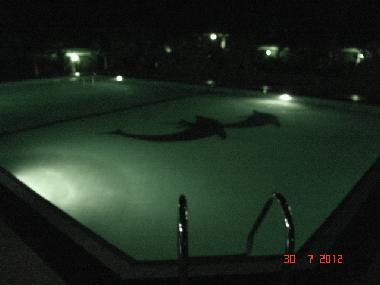 Swimming pool at night