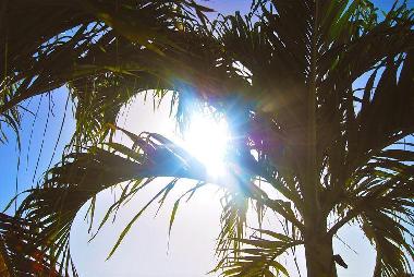 Holiday Apartment in Willemstad (Curacao) or holiday homes and vacation rentals