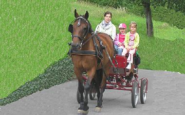 Holiday Apartment in Bad Mergentheim (Taubertal) or holiday homes and vacation rentals