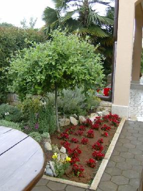 Holiday Apartment in Porec (Istarska) or holiday homes and vacation rentals