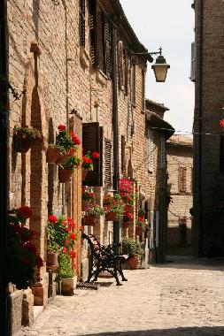 the nice little streets in the village