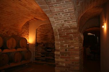 the wine cellar in Palazzo Massi
