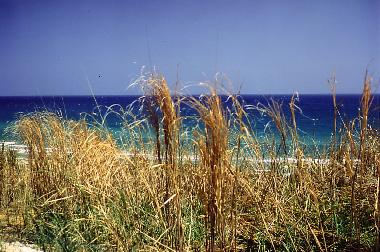 Holiday House in Menfi (Agrigento) or holiday homes and vacation rentals