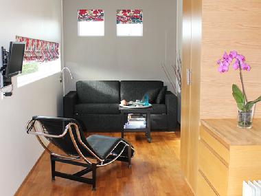 Living room / Sleeping sofa