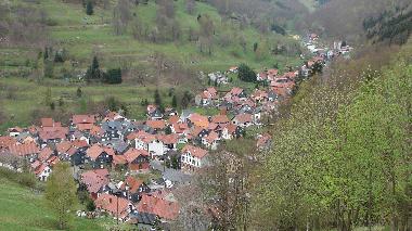 Holiday House in Gieubel (Thuringian forest) or holiday homes and vacation rentals