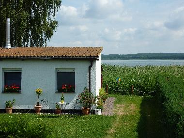 Holiday House in Dahmen (Mecklenburgische Seenplatte) or holiday homes and vacation rentals