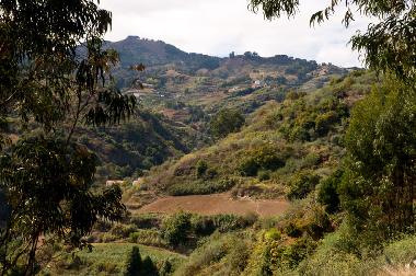 Villa in Moya (Gran Canaria) or holiday homes and vacation rentals