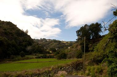 Villa in Moya (Gran Canaria) or holiday homes and vacation rentals