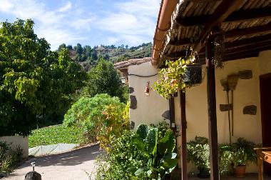 Villa in Moya (Gran Canaria) or holiday homes and vacation rentals