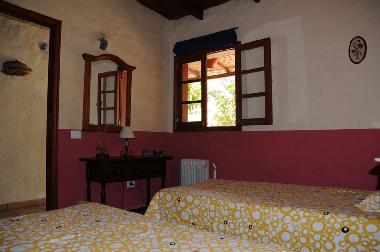 Villa in Moya (Gran Canaria) or holiday homes and vacation rentals