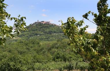 Holiday House in Motovun (Istarska) or holiday homes and vacation rentals