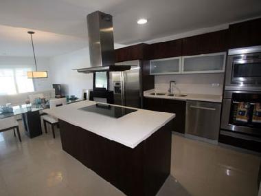 Modern Kitchen 