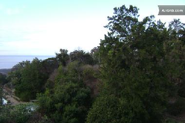 Holiday Apartment in Machico (Madeira) or holiday homes and vacation rentals