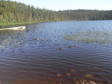 Chalet in Girardville (Quebec) or holiday homes and vacation rentals