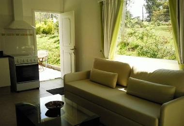 Holiday Apartment in Punta del Este (Maldonado) or holiday homes and vacation rentals