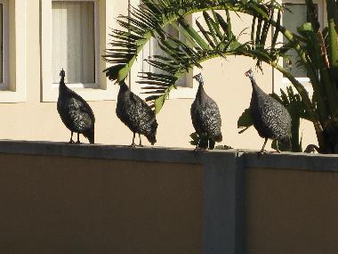 Holiday House in Sedgefield (Western Cape) or holiday homes and vacation rentals