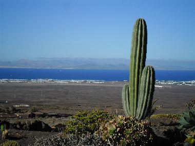Holiday House in Maciot (Lanzarote) or holiday homes and vacation rentals