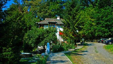 Villa in Sovata (Mures) or holiday homes and vacation rentals