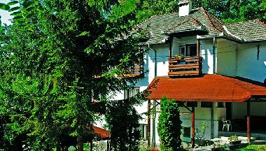Villa in Sovata (Mures) or holiday homes and vacation rentals